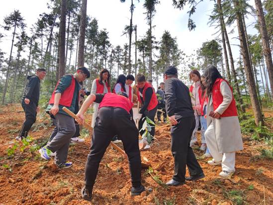 mmexport1710228384507(1)